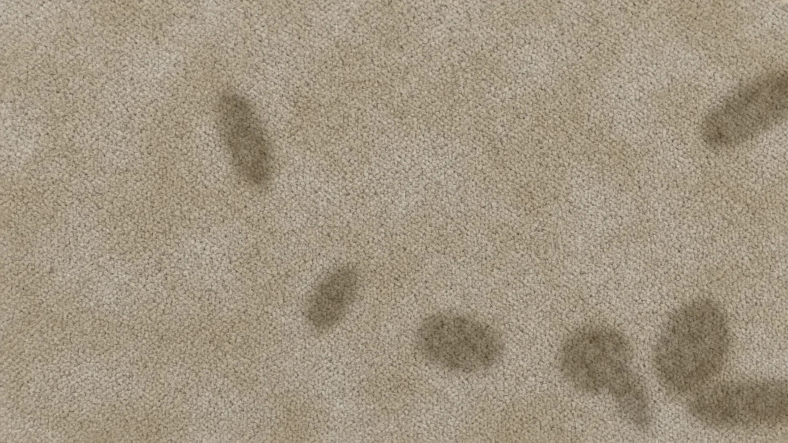 Illustrative dirty carpet before cleaning