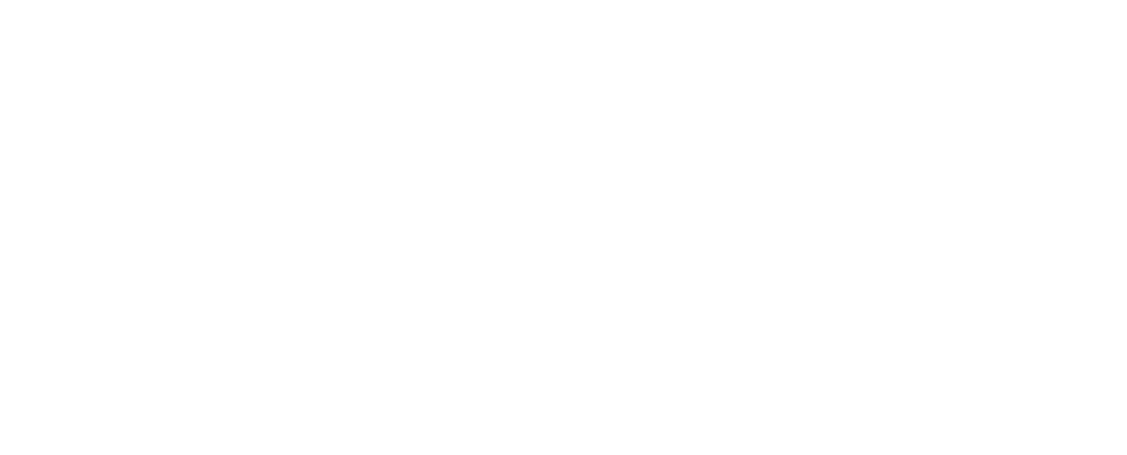 BOSS CLEANERS UK